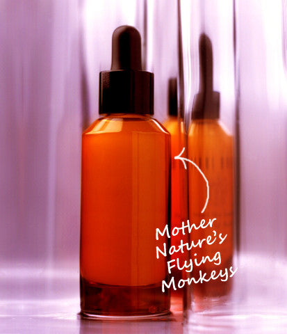 What makes it Wicked?