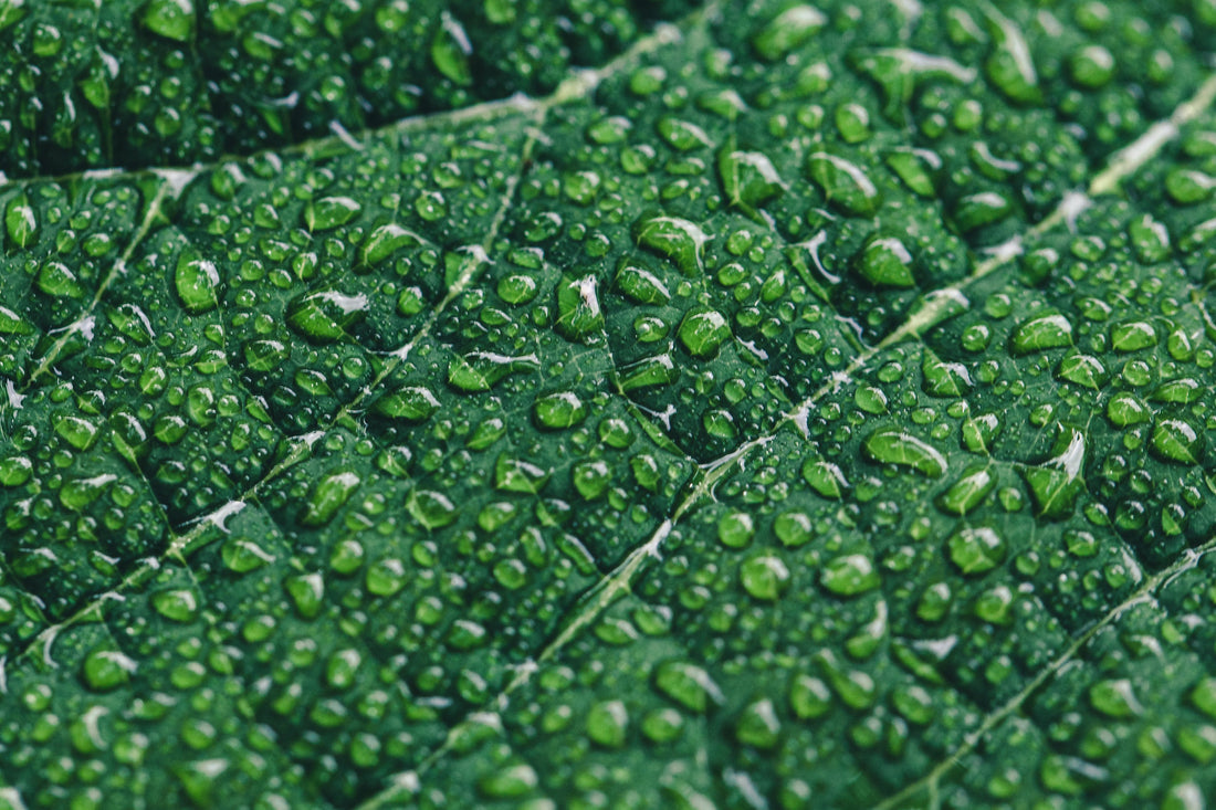Water: A Natural Resource falls that from the sky