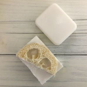 Bug Away Suds & Scrub Castile Soap Bar (with or without Loofah) exp 5/2024
